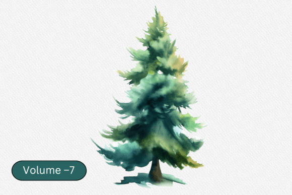 Download Watercolor Evergreen Tree Clipart PNG - Evergreen Collection