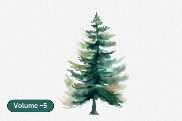 Download Watercolor Evergreen Trees Set Clipart - Evergreen Collection