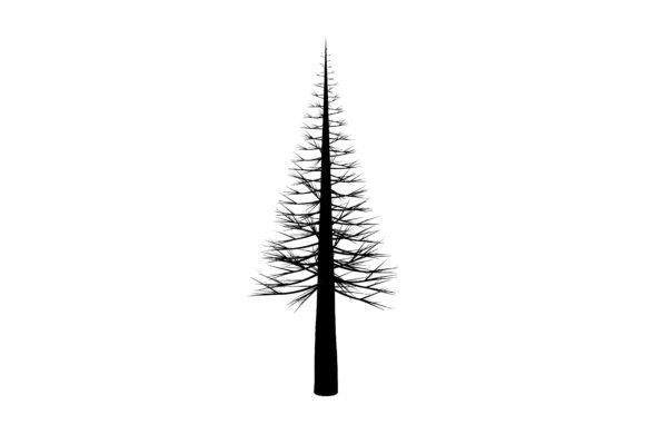 Download Evergreen Fir Tree Silhouette - Evergreen Collection