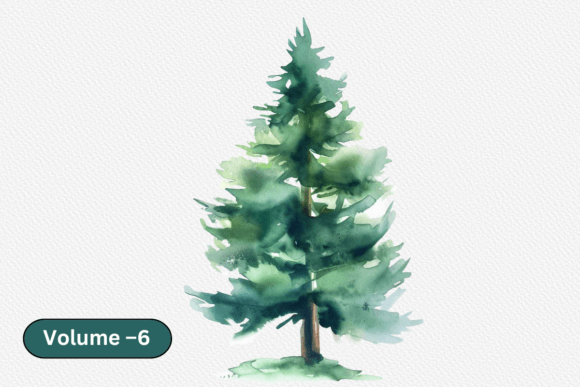 Download Watercolor Evergreen Trees Set Clipart - Evergreen Collection