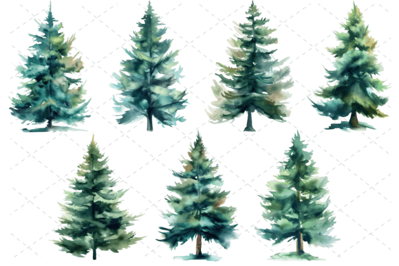 Download 7 Watercolor Evergreen Tree Bundle - Evergreen Collection